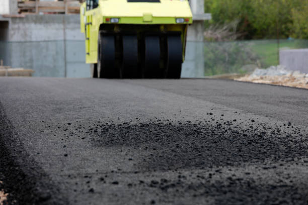 Best Professional Driveway Pavers  in Brownsville, TN